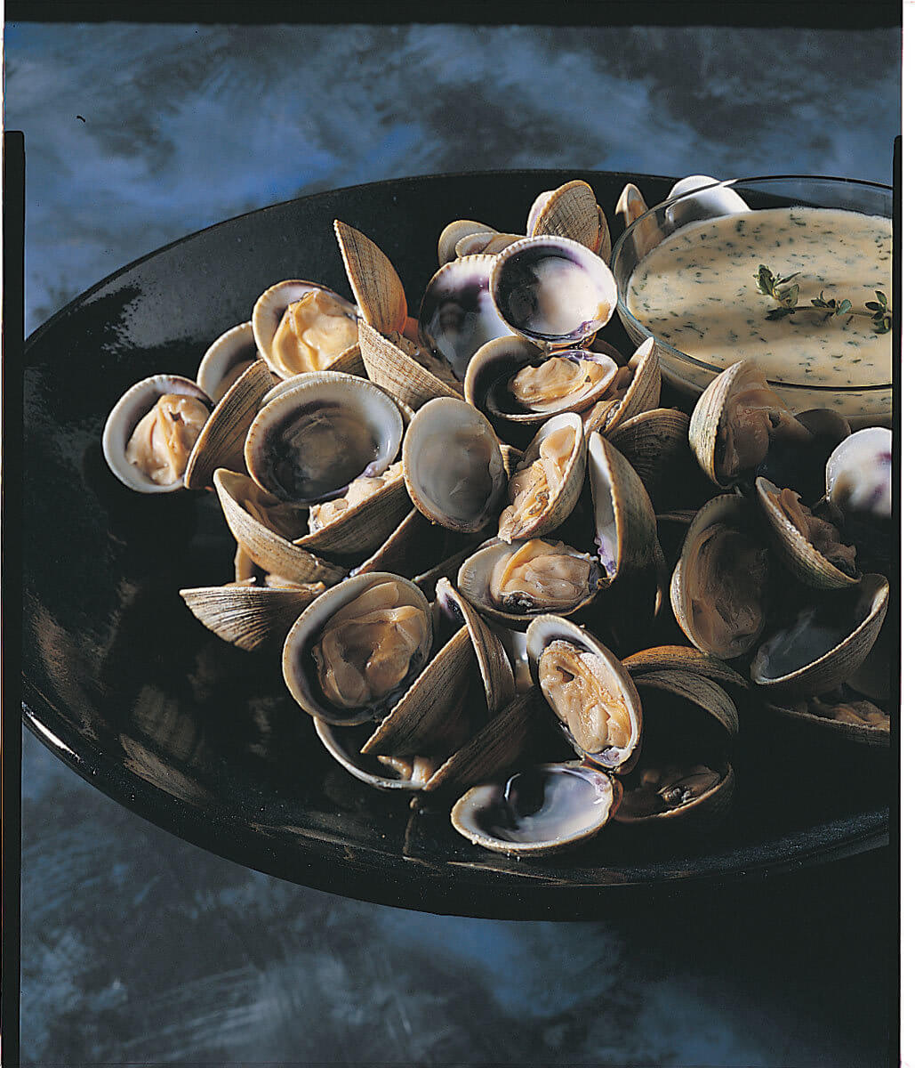 Southern Clams Ltd Recipes Queen Scallops Seaweeds
